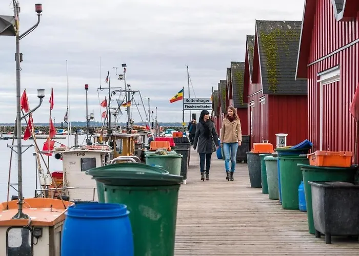 דירה Victoria, Schwan